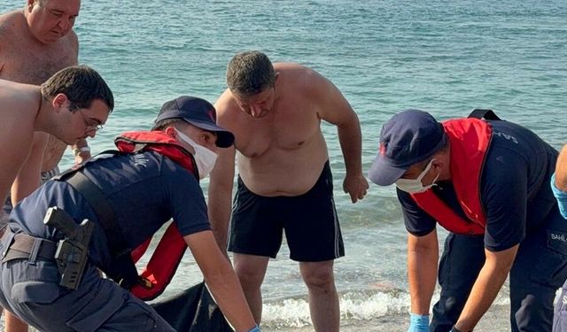 Tekne pervanesi çarpan caretta carettayı sahil güvenlik kurtardı