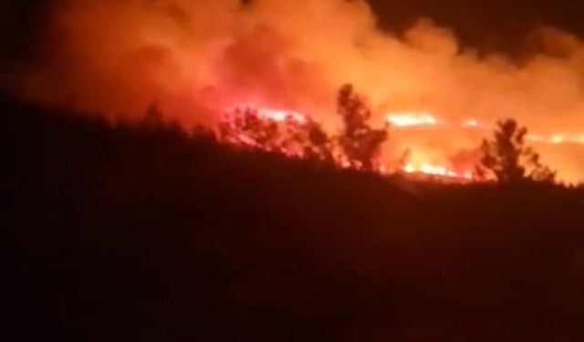 Urla'da orman yangını