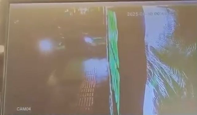 Yalova'da Kaza Kuruyemiş Dükkanına Taştı