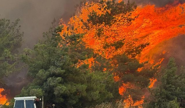Çanakkale Yanmaya Devam Ediyor!