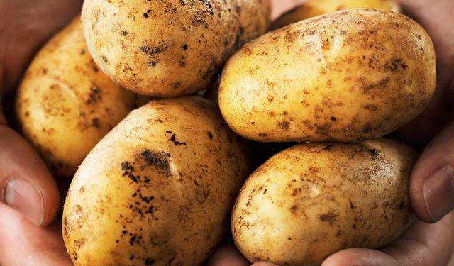 Patateslerini Bedava Veren Çiftçiye Şok Ceza!