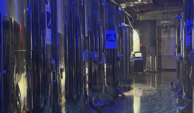 248 hasta kriyojenik tanklarda bekletiliyor