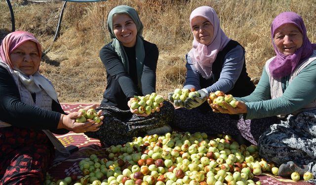 Kadınlardan hünnap mesaisi