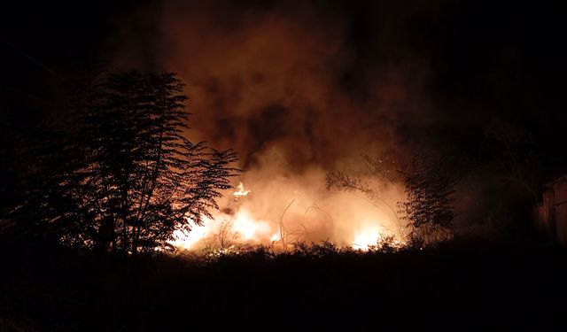 Adana'da korkutan yangın!
