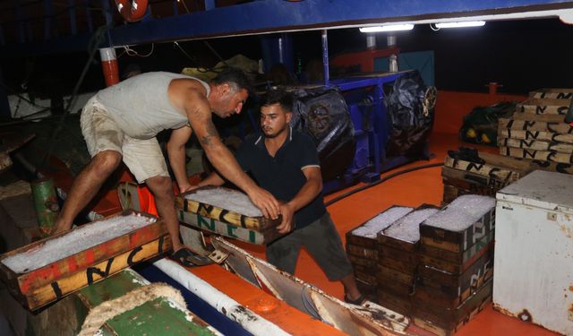 Akdeniz'de av sezonu başladı: Uygun fiyatlı taze balık yoğun ilgi görüyor