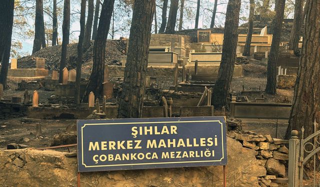 Alanya’da alevlerle mücadele sürüyor