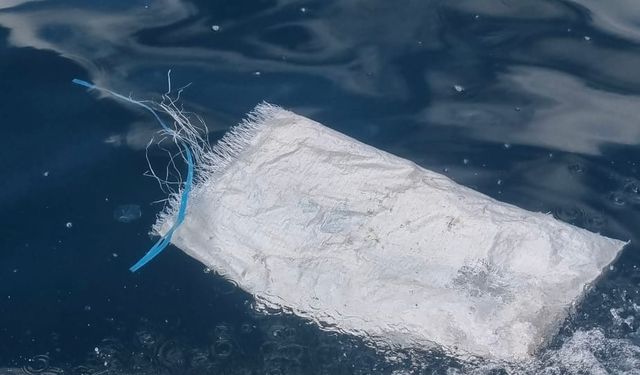 Amasra'da deniz kirliliğine inceleme başlatıldı