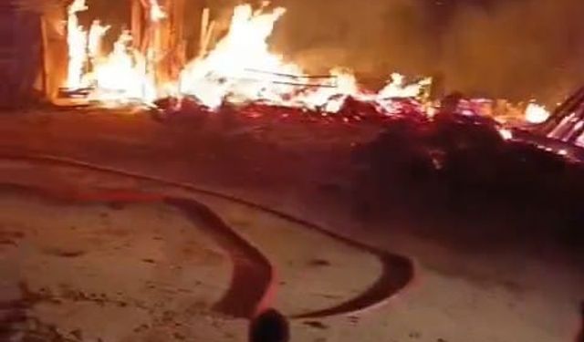 Amasya'da bağ evini alevler sardı