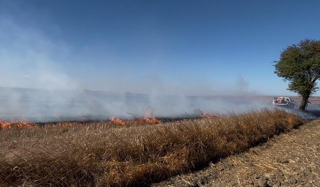 Anız yangını büyümeden söndürüldü