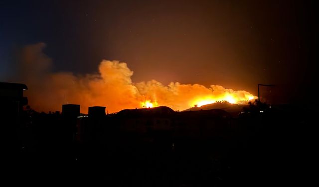 Antalya'da ormanı alevler sardı!