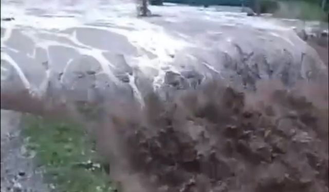 Artvin'de sağanak etkili oldu