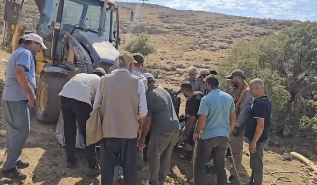 Ayağı kırılan 500 kiloluk ineği, omuzlarında taşıyarak veterinere götürdüler