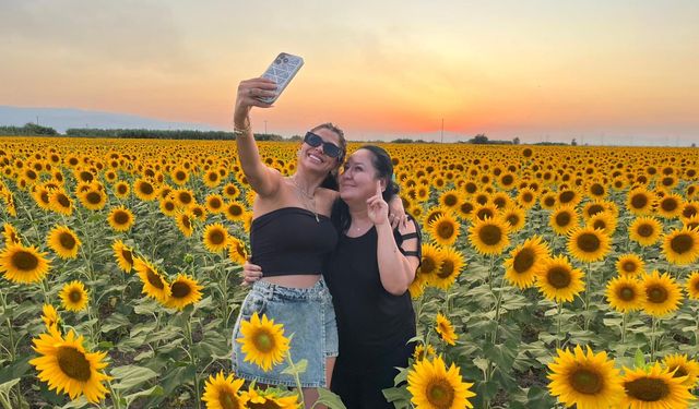 Aydın'da ayçiçeği tarlaları fotoğraf tutkunlarına sahne oldu