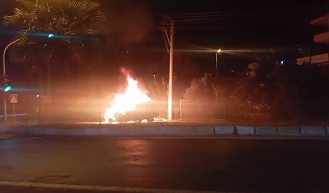 Aydın'da otomobil alev aldı