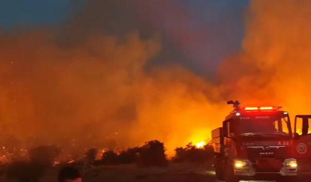 Balıkesir yangını kontrol altında