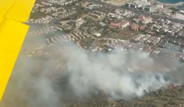 Balıkesir'de orman yangını