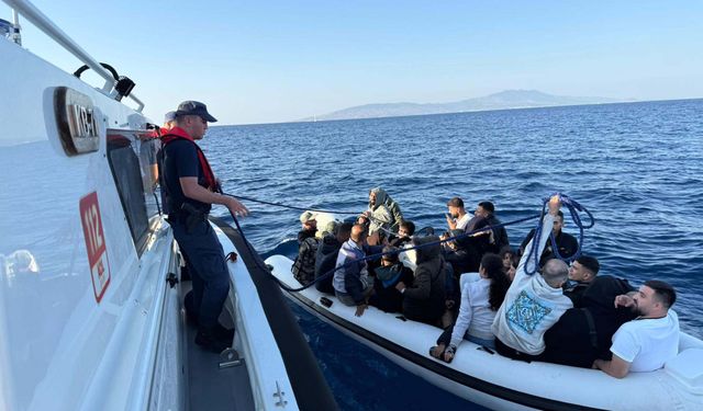 Bodrum'da kaçak göçmen operasyonu