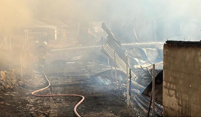 Bolu'da çıkan yangında 12 yapı kül oldu