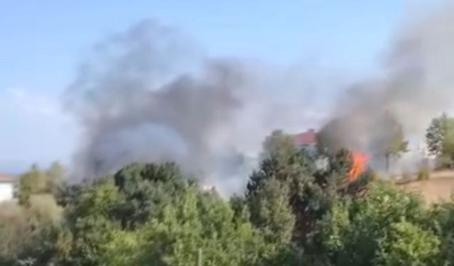 Bursa'daki ot yangını söndürüldü