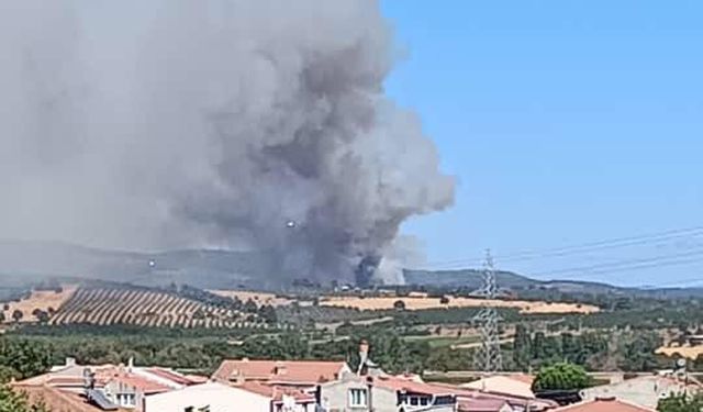 Çanakkale'de bir orman yangını daha çıktı