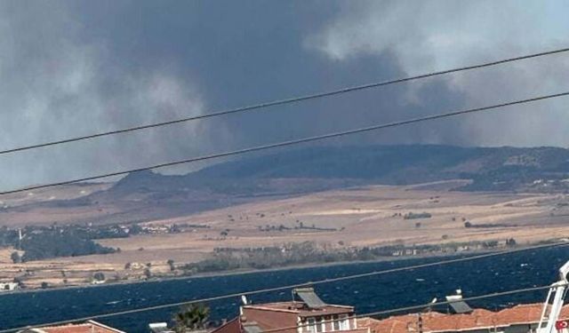 Çanakkale'deki arazi yangını ormana sıçradı: Müdahale sürüyor