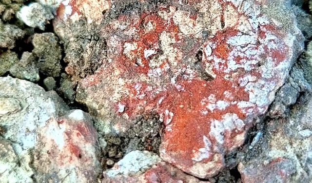 Çayönü Tepesi'nde 9 bin senelik kamusal yapı ortaya çıkarıldı