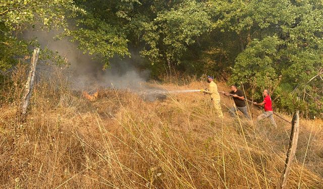 Düzce'de orman yangını