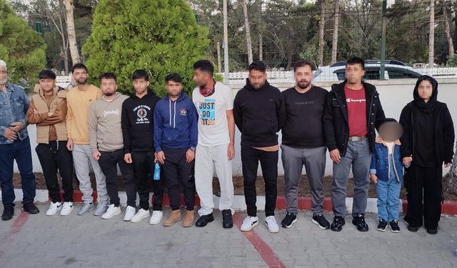 Edirne'de 12 kaçak göçmen yakalandı