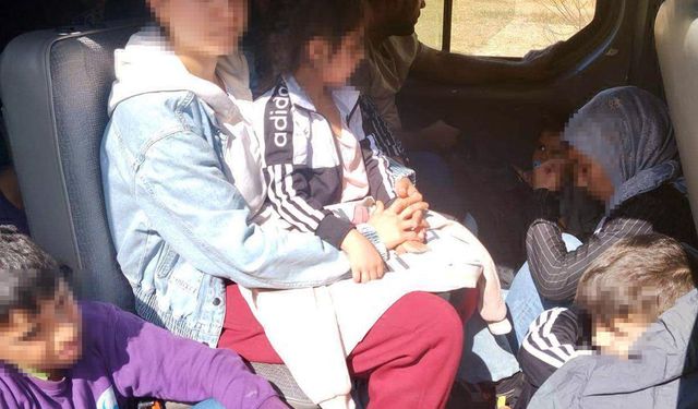 Edirne'de 20 kaçak göçmen ve 1 organizatör yakalandı