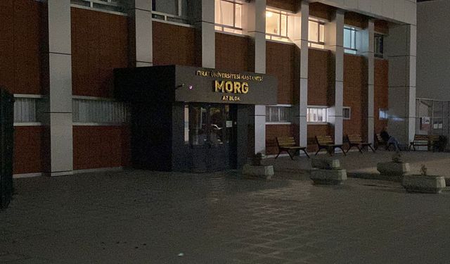 Elazığ'da can alan minibüs kazası