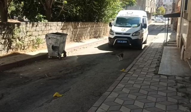 Elazığ'da silahlı saldırı