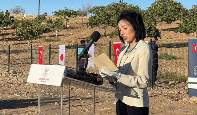 Göbeklitepe'de İnsan Heykeli Bulundu!