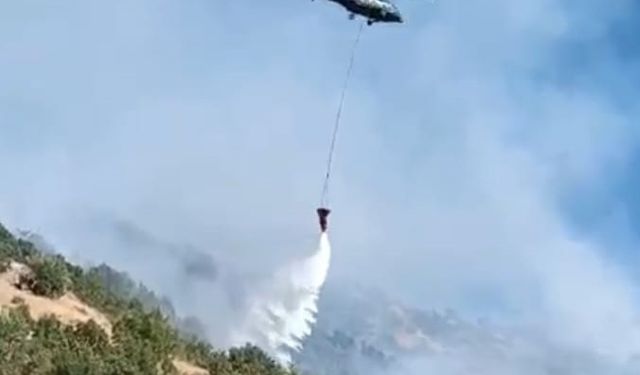 Hakkari'deki orman yangını büyük ölçüde kontrol altına alındı