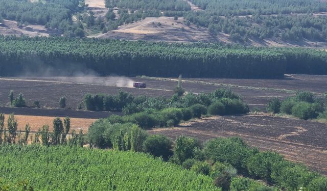 Hevsel Bahçeleri'nde çıkan yangın kontrol altına alındı