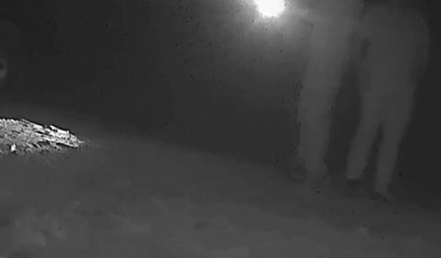 Kaçak avcılara 170 bin liralık ceza