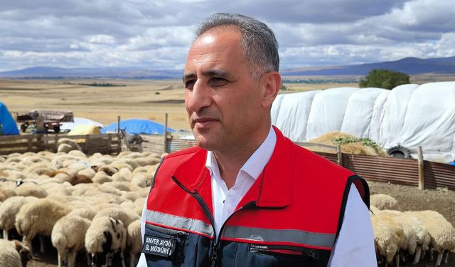 Kars'ta 1,5 Milyon Küçükbaş Hayvan Aşılanıyor