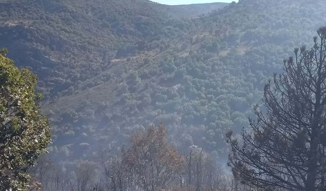Konya'da Orman Yangını Hemen Söndürüldü