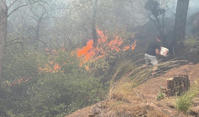 Köyceğiz'deki orman yangını kritik seviyede: 58 ev boşaltıldı, 173 kişi tahliye edildi