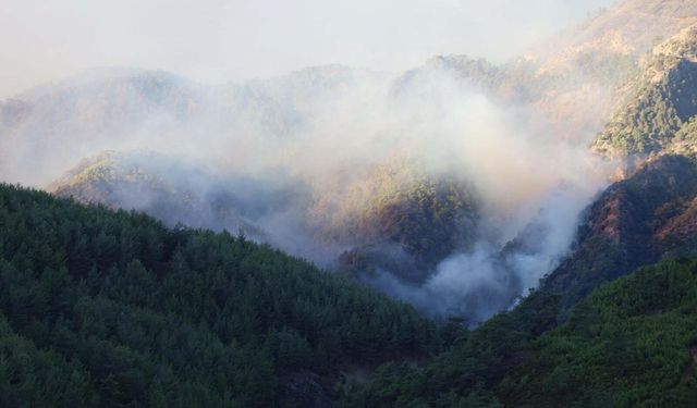 Köyceğiz'deki orman yangınında 3 bin hektar alan kül oldu