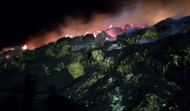 Mardin'de korkutan yangın!