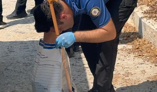 Merdivenden düşüp hayatını kaybetti