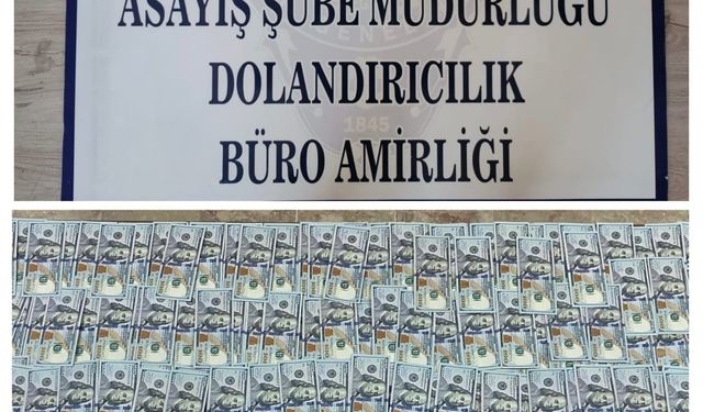 Milyon lira vurgun yapan dolandırıcılar yakalandı