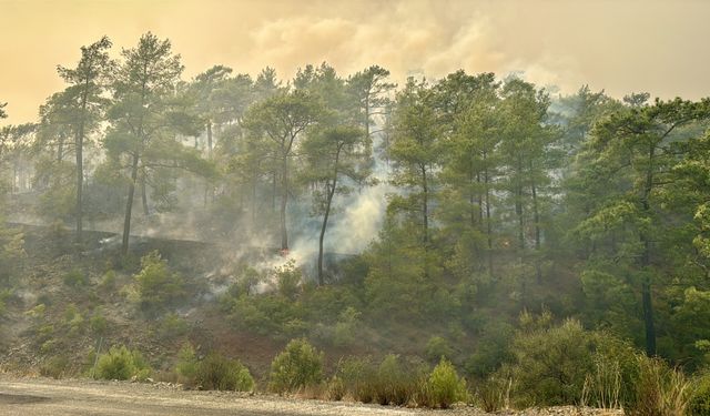 Muğla Köyceğiz orman yangınında 2'nci gününde