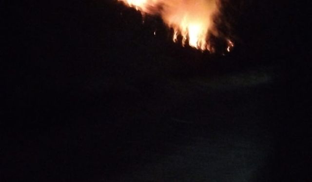 Muğla'da ormanı alevler sardı!