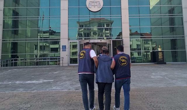 Ordu'daki fındık hırsızı yakalandı