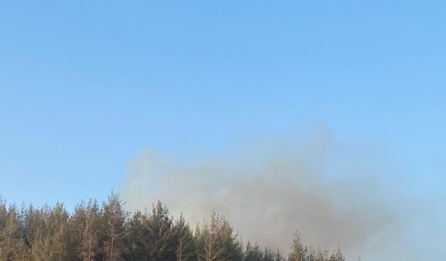 Osmaniye'deki yangın söndürüldü