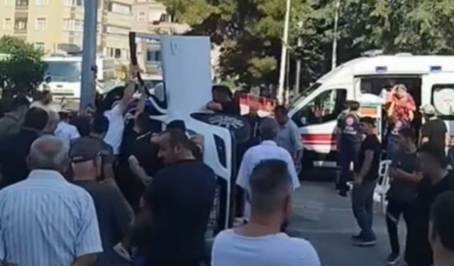 Otomobilin içine giren arı kazaya neden oldu