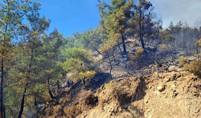 Serik'te orman yangı devam ediyor