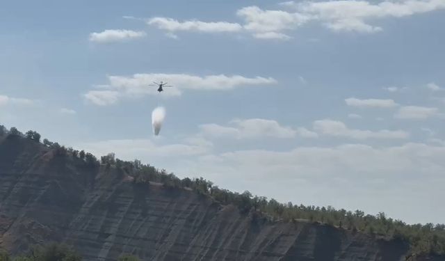 Şırnak'ta Orman Yangını Çıktı!