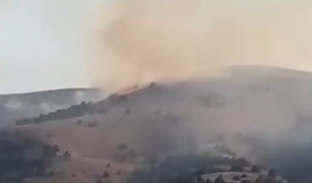 Sivas'taki anız yangını büyüdü